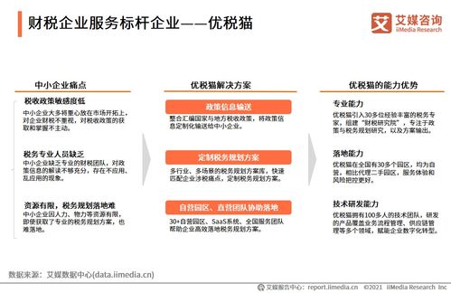 2021上半年中国财税企业服务市场洞察 数字化驱动下的信息咨询服务新格局
